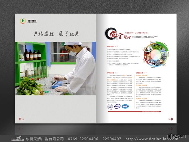 吕众网膳食画册设计制作案例