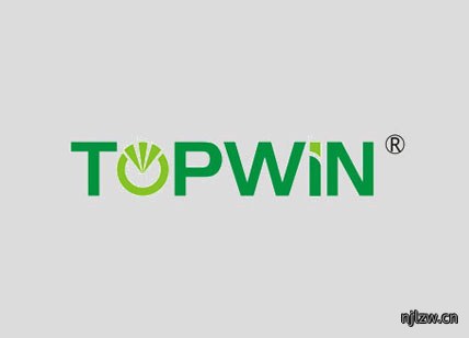 topwin光电公司标志设计欣赏