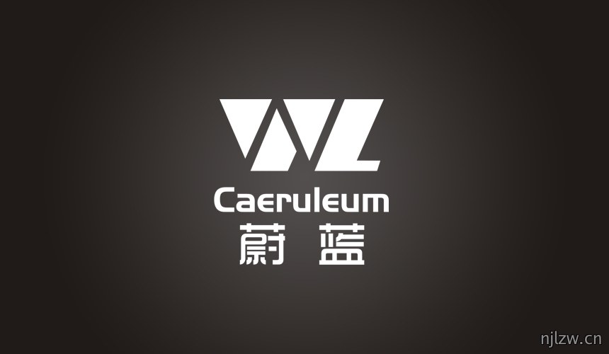 蔚蓝新能源行业标志设计欣赏