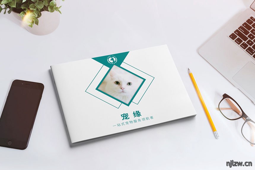 宠物服务画册设计_宠物手册设计制作-东莞天娇广告公司